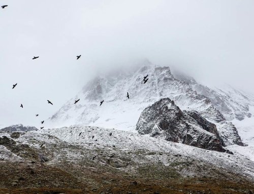Beautiful South America Expeditions